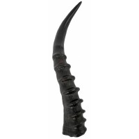 Antelope Horn Anatole