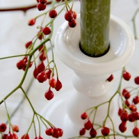 Candles Emme (Set of 5)